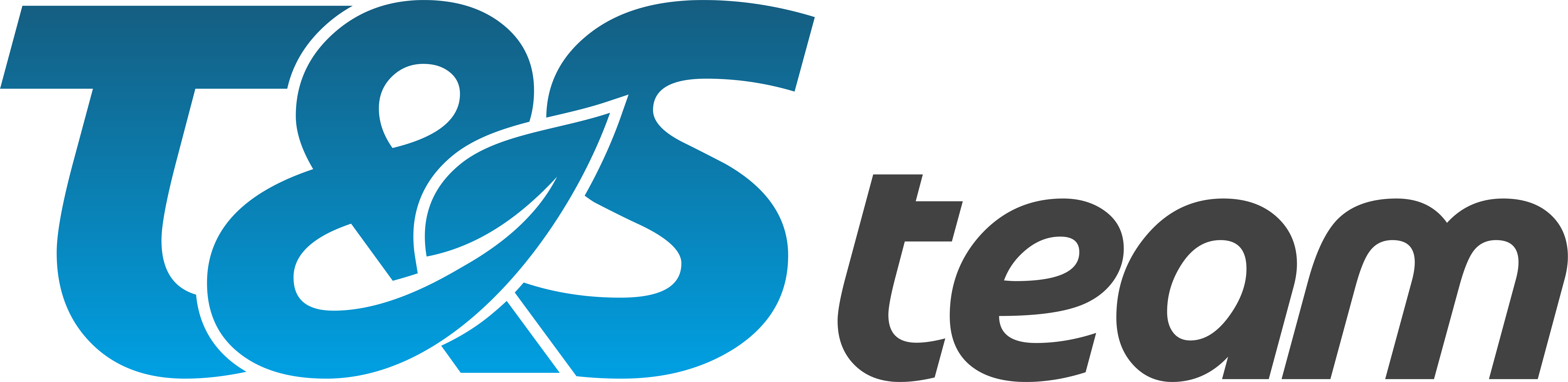 T&S Team BV logo
